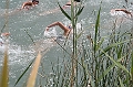 090
